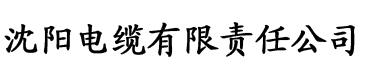 九一香蕉app在线下载i电缆厂logo